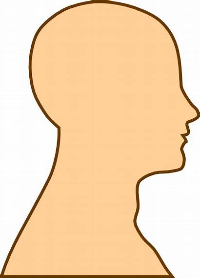 Head Outline Brain Side Face Clip Human