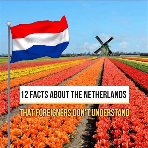 12 facts about the netherlands that foreigners don t understand netherlands foreigner fact