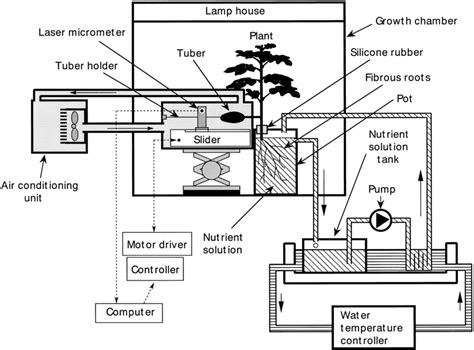 Schematic Diagram Of A Hydroponic System For On‐line Measurement Of