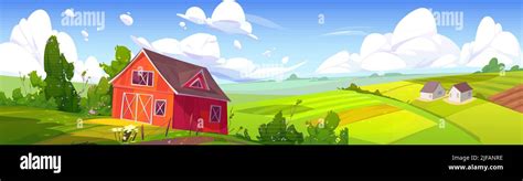 Summer Rural Landscape With Farm Barn Green Agriculture Fields And