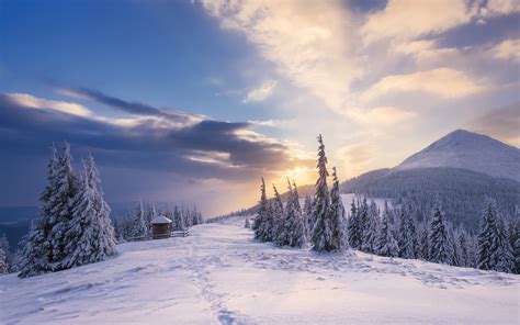 Wallpaper Snow Mountains Trees Hut Clouds Sunset