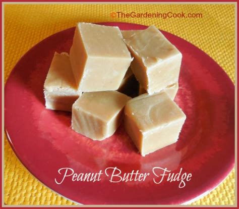 easy peanut butter fudge marshmallow fluff peanut butter fudge recipe