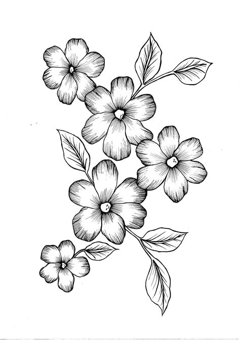 Wild Flowers Pdf Coloring Page Etsy Easy Flower Drawings Flower
