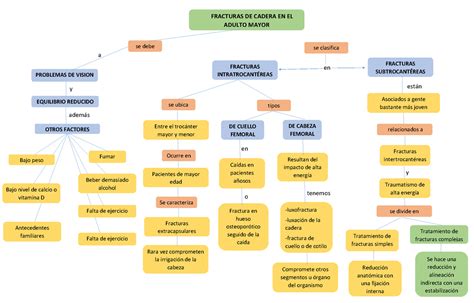 Mapa Conceptual De Fracturas De Cadera FRACTURAS DE CADERA EN EL ADULTO MAYOR Se Debe