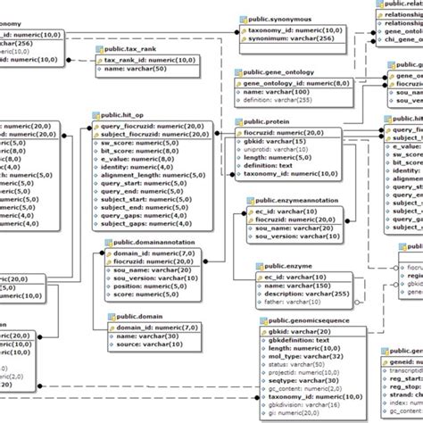 Esquema lógico para o banco de dados PWD V Download Scientific Diagram