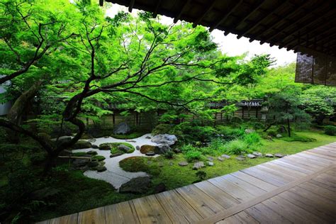 永観堂 方丈庭園 もみじの名所の絶品の緑 京都もよう kyoto moyou