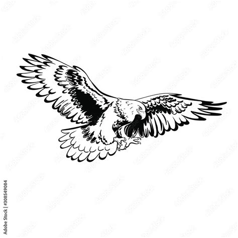 Soaring Eagle Png Clipart Eagle Flying Transparent Background Clip