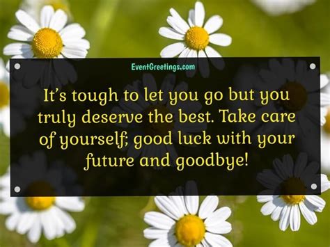 Goodbye And Good Luck Quotes