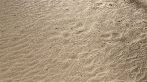 Sand Floor Texture