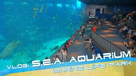 Sea Aquarium At Sentosa Singapore Video Review Youtube