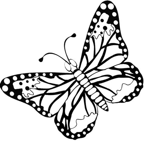 Dibujos De MARIPOSAS Para Colorear Y Pintar