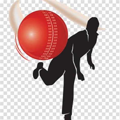 Indian Premier League Bowling Cricket Cricket Balls Sport Cricket