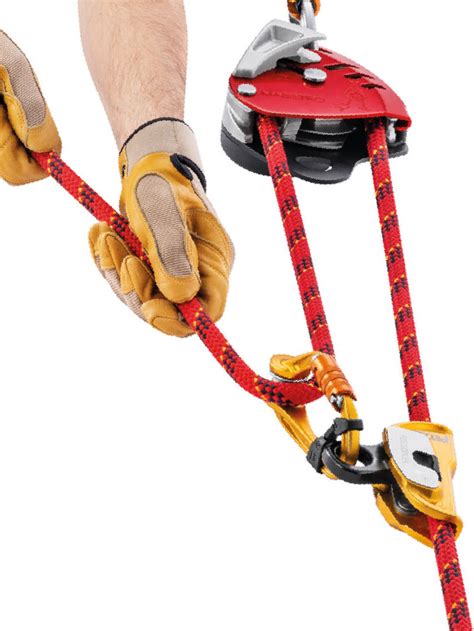 A master in some art, especially a composer or conductor. Petzl Maestro L Descender - Carleton Rescue Equipment Ltd