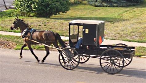 Amish Buggy Amish Pennsylvania Amish House