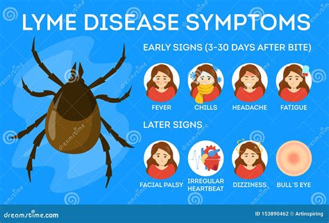 Lyme Disease Cureus A Case Of Disseminated Lyme Disease Presenting As