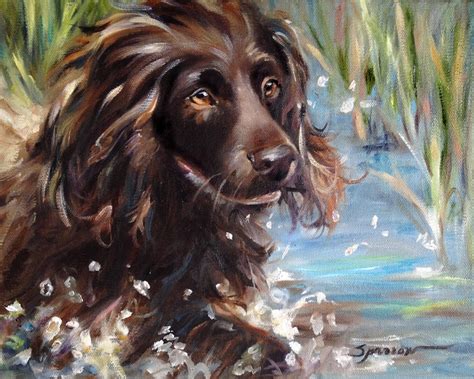 Print Boykin Spaniel Swimming Dog Art Print Of Oil Painting Etsy
