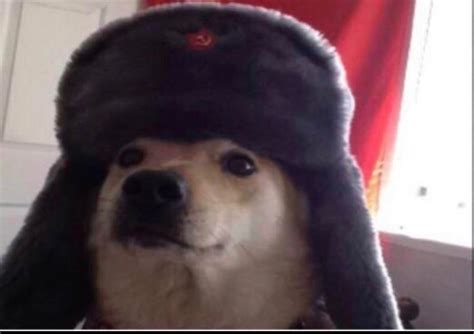 The Soviet Doggo Would Like To Greet You Aww