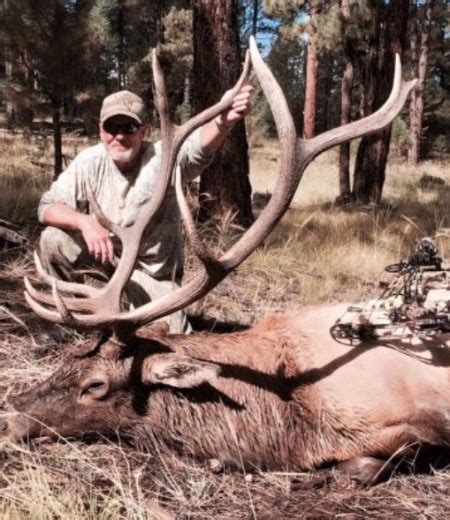 Scouting Report Trophy Elk In New Mexicocheck Out The
