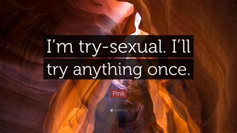 pink quote “i m try sexual i ll try anything once ”