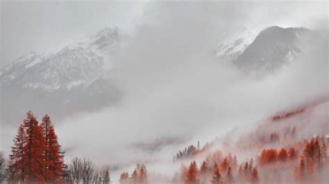 Aesthetic Sharer Zhr On Twitter Fog Pictures Aesthetic Landscape