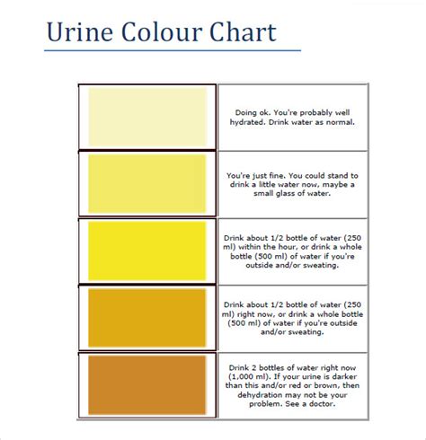 Free Printable Urine Color Charts Word Pdf Urine Color Chart What