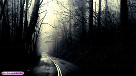 Ambient Creepy Music Road Through The Dark Forest Sad