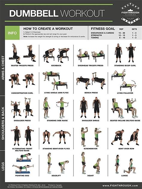 Dumbbell Exercises Laminated Poster Chart Strength Training Core