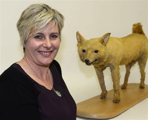 Study On Where Pacifics First Dogs Came From Otago Daily Times