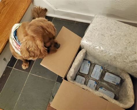 How to create your dog's customized ollie meal. Ollie Dog Food Review Purchased and Tested 2021 - We're ...