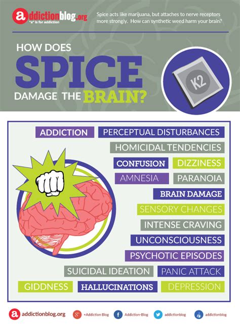 How Does Spice Synthetic Cannabis Damage The Brain