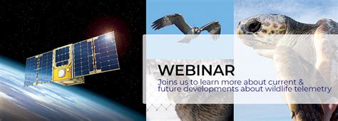 There are over 1400+ satellites currently. WEBINAR Animal tracking: The future of wildlife ...