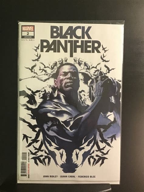 Black Panther 2 2022 Alex Ross Cover Comic Books Modern Age