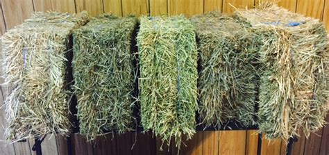 Hay Products Your Hay Source In Hampton Roads Virginia