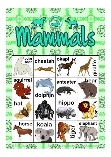 Mammals Bingo 4x4 5 Pages Call Sheet Made By Teachers