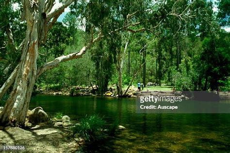 Byfield Queensland Photos And Premium High Res Pictures Getty Images