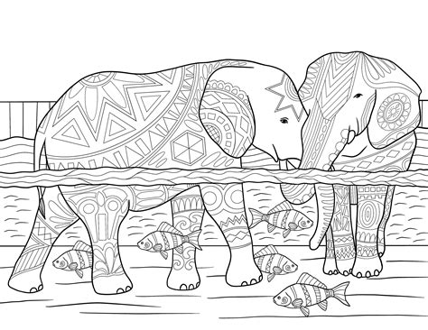 71 Ideas De Elefantes Para Colorear En 2021 Elefantes Para Colorear