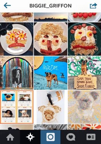 17 Best Funny Instagram Accounts To Follow Freemake