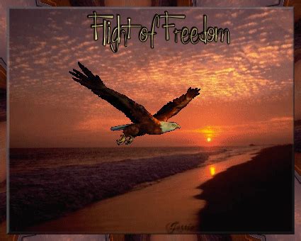 Eagle Freedom Gif
