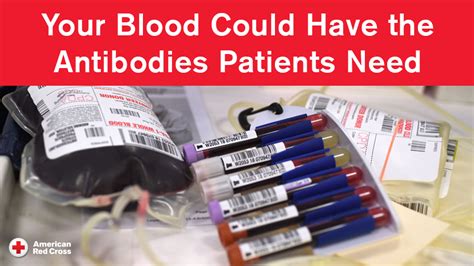 Red Cross Blood Donation Testing For Covid 19 Antibodies Provides New