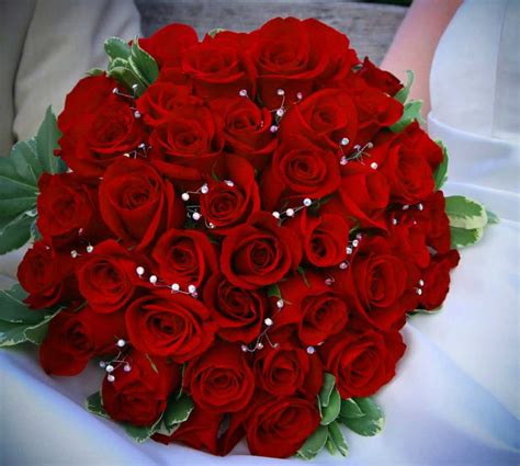 We did not find results for: Beautiful Whatsapp DP Flower Images Free Download | DP ...
