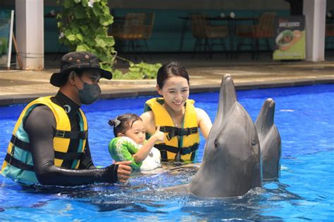 The Best Places To Swim With Dolphins In Bali Bali Exclutour