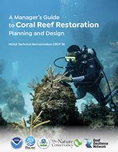 Coral Restoration Toolkit Reef Restoration And Adaptation Program