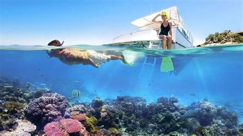 Best Snorkeling Resorts In Caribbean Ileen Bowden