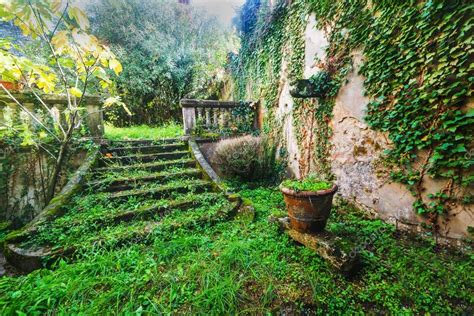 Stairs In An Abandoned Garden In Tuscany — Stock Photo © Alkan32 130347784