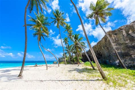 Bottom Bay Barbados Paradise Beach On The Caribbean Island Of