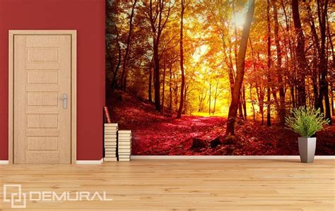Autumn Walk In The Forest Forest Wallpaper Mural Photo