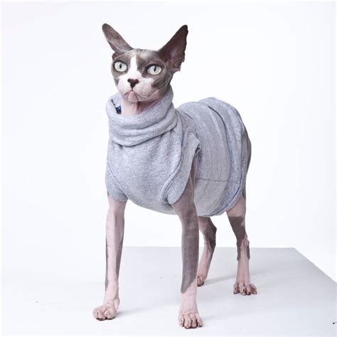 Sphynx cat clothes purple butterfly tattcat™. Sphynx Cat Wear • The Original Sphynx Clothing Company ...