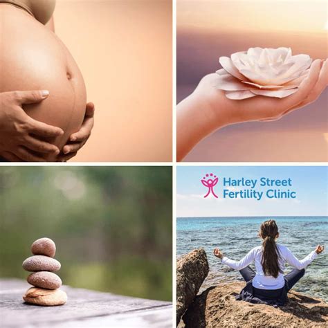 The Effect Of Meditation On Fertility Harley Street Fertility Clinic