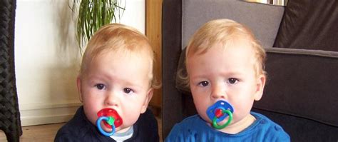 Identical Twin Dna Test Dna Legal
