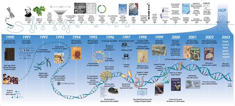 Evolution Timeline Of Dna